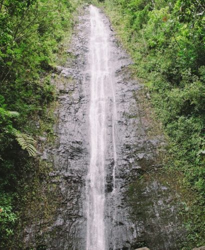 manoa falls & musubi | honolulu, hawaii via playswellwithbutter.com | manoa falls is an easy hike centrally located in oahu with tons of gorgeous lush tropical scenery leading up to a beautifully secluded 200-ft waterfall. great for an oahu adventure & beautiful photo ops along the way, manoa falls is absolutely a must-see for any traveler adventuring on oahu.